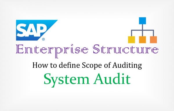 sap enterprise structure