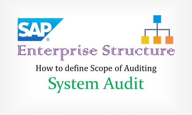 SAP organization Assignment – Enterprise Structure