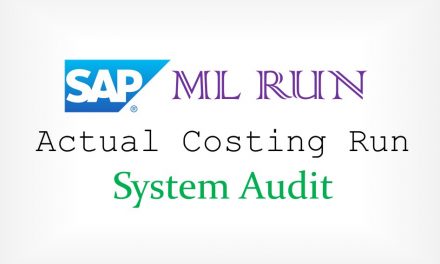 SAP ML Run System Audit