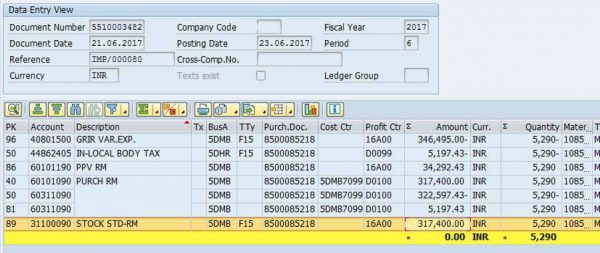 MIGO accounting entry View for SAP ML Run System Audit