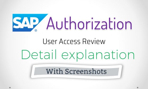 SAP User Authorization Audit and Explanation